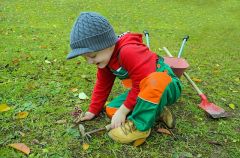 Tips voor een kleine tuin