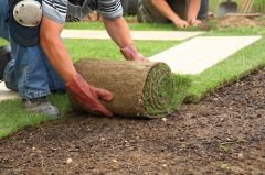 Najaar: planten en verplanten!