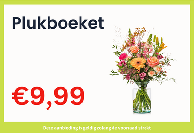 Plukboeket