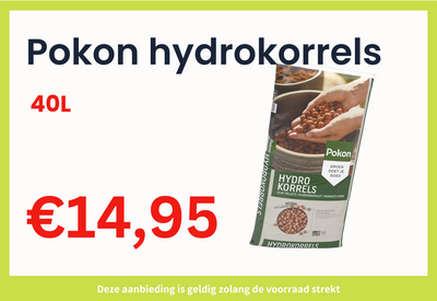 Pokon hydrokorrels 40L