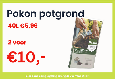 Pokon potgrond 40L