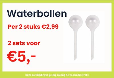 Waterbollen